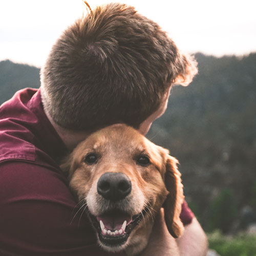 Doggy Holiday Servizi per il tuo cane