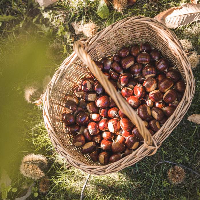 Food in Val di Ledro